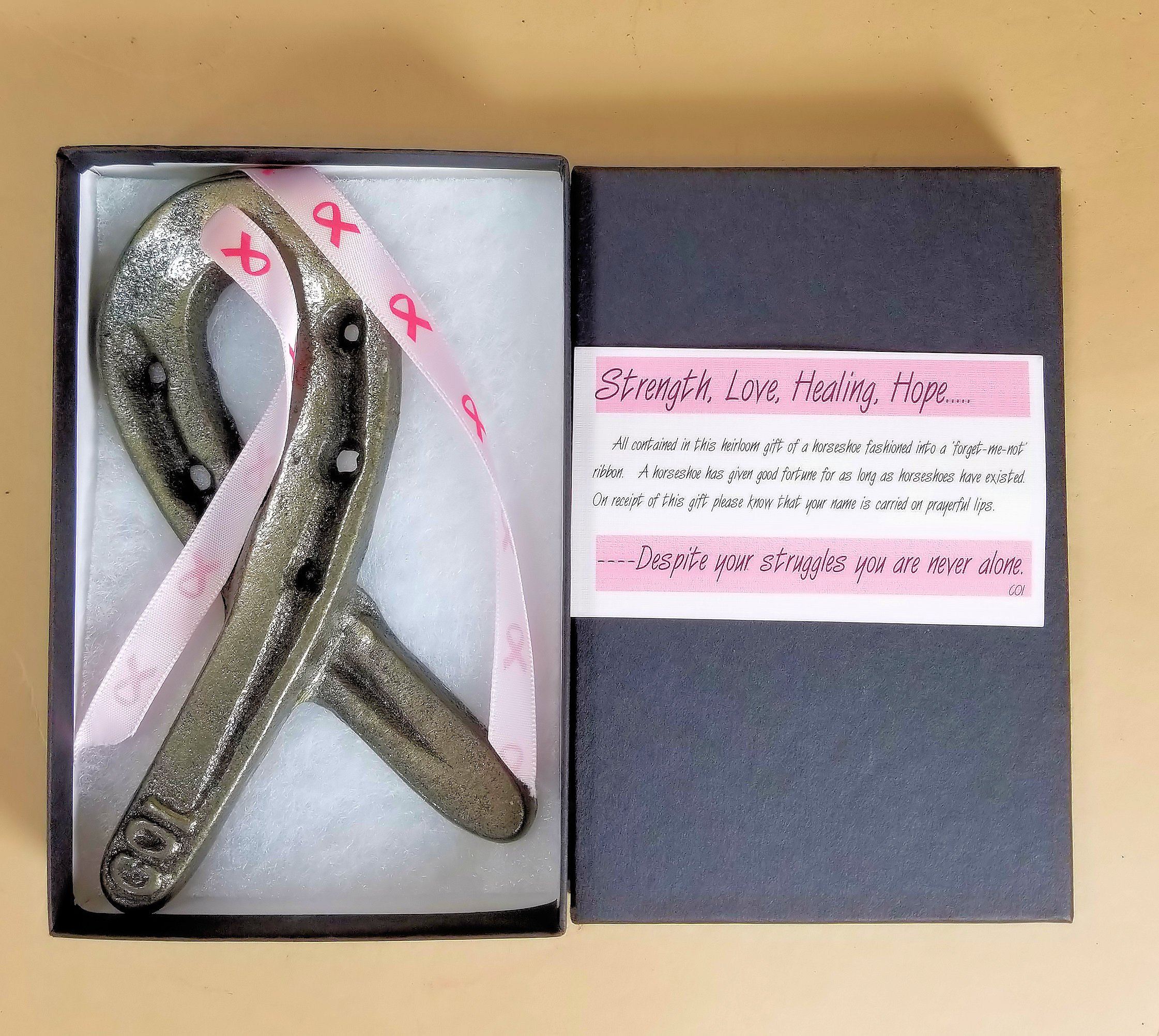 Get Well Horseshoe Cancer Ribbon w/gift box and Card