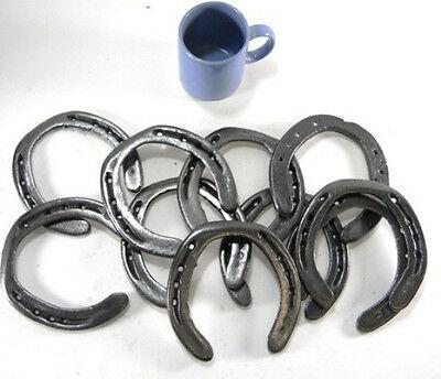 HS1 - 10pc Cast Iron Horseshoes Crafting Decor southwestern horseshoe Carvers Olde Iron 