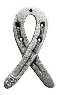 Get Well Horseshoe Cancer Ribbon w/gift box and Card